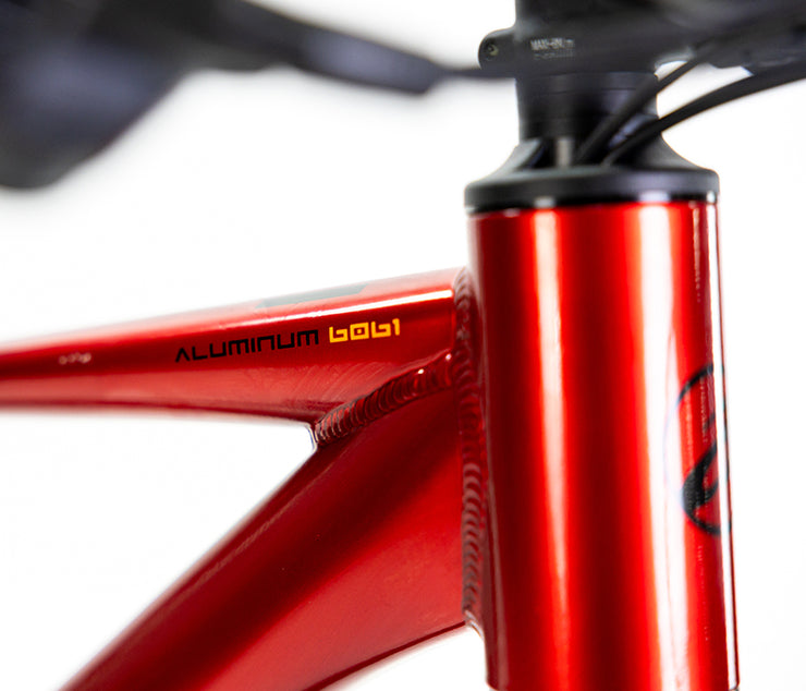 BICICLETA MONTAÑA ALUBIKE MTB XTA 2.0 29 ROJO T-S 11V