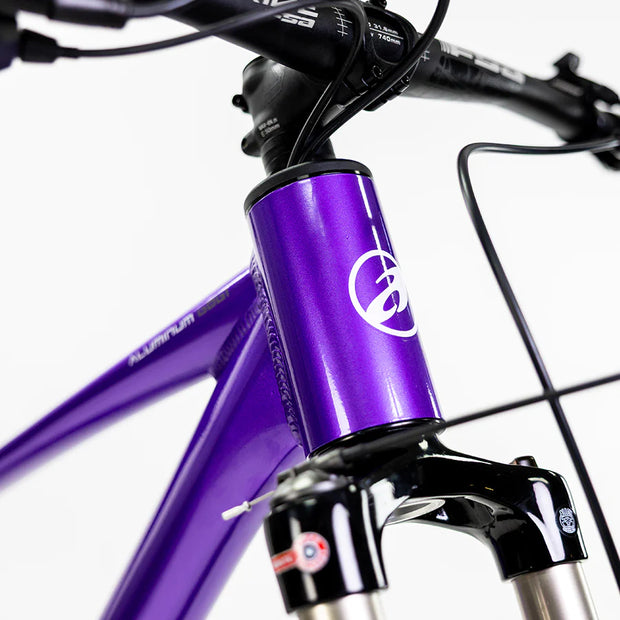 BICICLETA MONTAÑA ALUBIKE MTB XTA 2.0 29 PURPURA T-M 11V