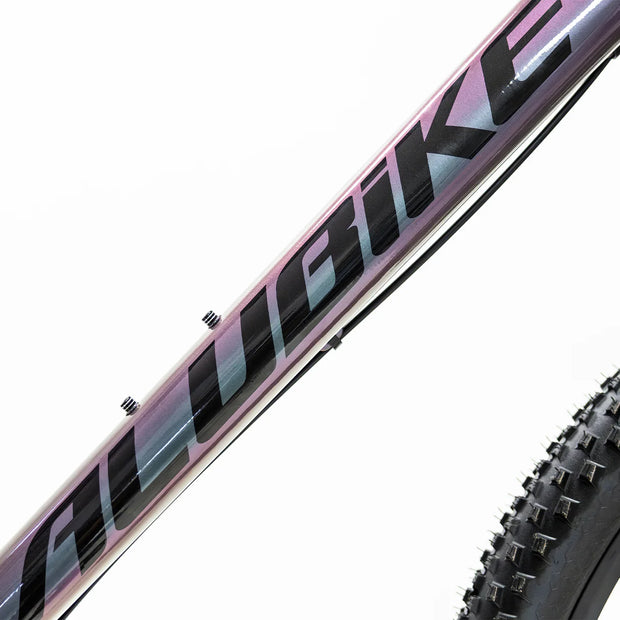 BICICLETA ALUBIKE DE MONTAÑA XTA 2.0 2024 GRIS TORNASOL 11V T.S