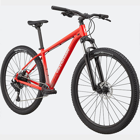 BICICLETA DE MONTAÑA CANNONDALE TRAIL 5 29 LG